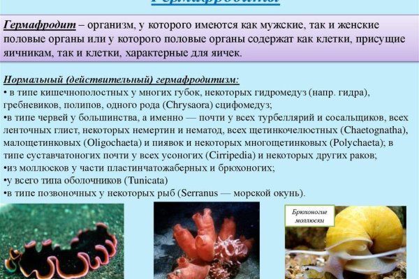 Кракен шоп зеркало
